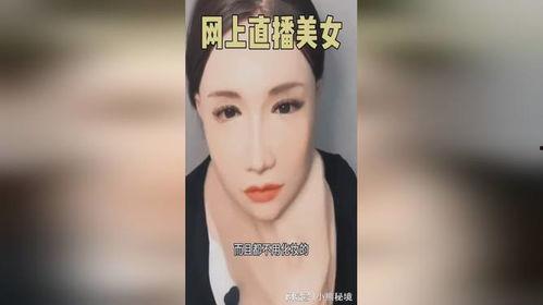 美人套在线观看免费,免费在线观看，揭开神秘面纱的惊悚之旅