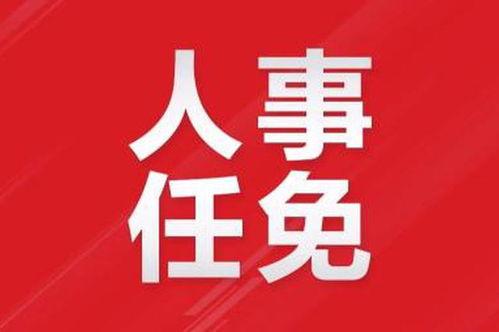 媒体爆料赣州新闻事件最新,揭秘背后真相，引发社会关注