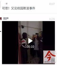 校园爆料视频,一幕幕真实校园生活瞬间
