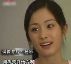 杨幂新闻爆料视频,揭秘娱乐圈背后的真相