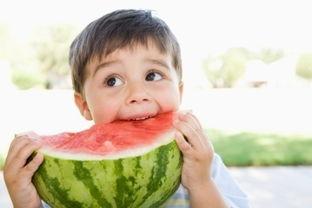 吃瓜小孩小说免费阅读,揭秘校园风云背后的秘密