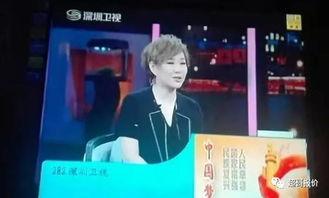 在线深圳卫视直播观看,实时捕捉城市脉搏，见证发展瞬间