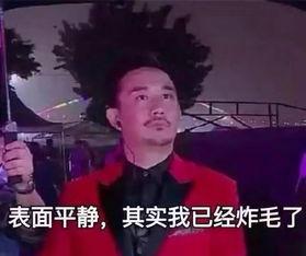 黄磊独家爆料视频大全下载,揭秘娱乐圈幕后故事