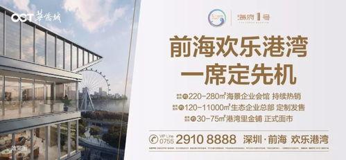 深圳蓝先生最新爆料,揭秘最新热点事件内幕