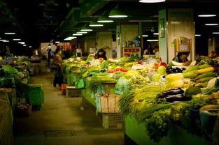 郑州菜市场爆料视频,新鲜食材与人间烟火气交织