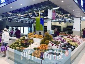 郑州菜市场爆料视频,新鲜食材与人间烟火气交织