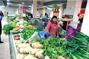 郑州菜市场爆料视频,新鲜食材与人间烟火气交织
