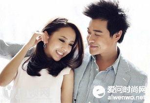 陈思诚最新爆料新闻视频,揭秘娱乐圈幕后真相