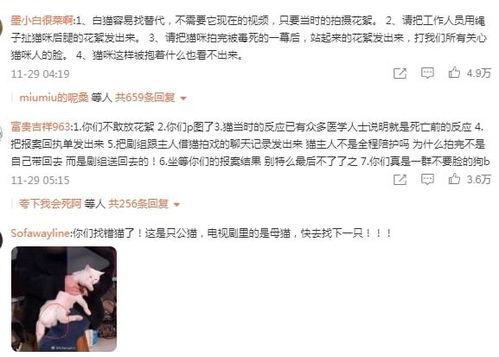 爆料员工回家视频,真实生活与工作状态的对比