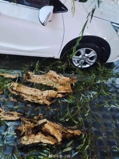 长春汽车最新爆料,颠覆性技术革新，未来出行新篇章