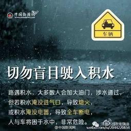 下暴雨视频爆料最新,城市瞬间变泽国，最新视频爆料现场惊心动魄