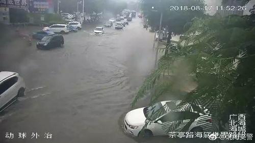 下暴雨视频爆料最新,城市瞬间变泽国，最新视频爆料现场惊心动魄