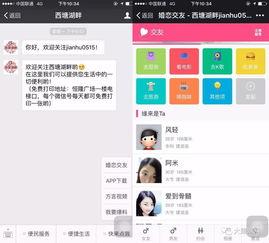 爆料火热小视频下载网站,火爆爆料背后的真相