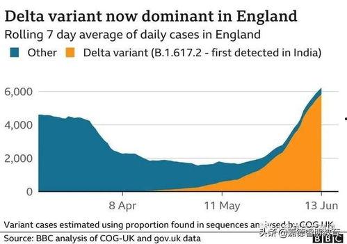 英国爆料病毒新闻最新,最新爆料揭示疫情背后惊人内幕