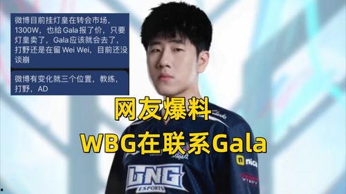wbg最新转会爆料,最新爆料揭秘神秘阵容调整