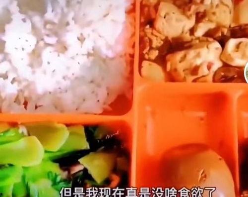 天津配餐爆料小伙视频播放,视频播放量惊人，揭秘后厨日常
