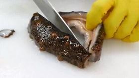 海参厨师爆料视频下载,揭秘海参烹饪秘籍与行业内幕