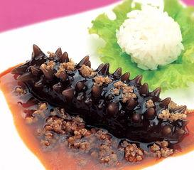 海参厨师爆料视频下载,揭秘海参烹饪秘籍与行业内幕