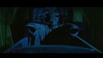 天师斗僵尸在线观看,奇幻冒险，僵尸危机下的生死较量