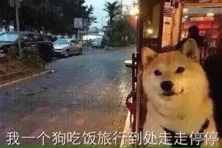 娱乐圈双男主被爆料,真相与谣言的交织