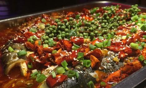 爆料哥吃青花椒鱼视频大全,爆料哥带你品尝正宗青花椒鱼风味
