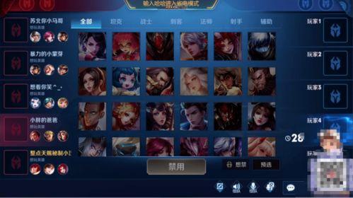 王者妹子爆料视频大全最新,揭秘游戏圈幕后故事