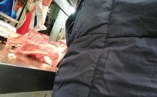 哈尔滨猪肉爆料事件视频,揭露食品安全背后的惊人真相