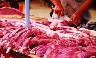 哈尔滨猪肉爆料事件视频,揭露食品安全背后的惊人真相
