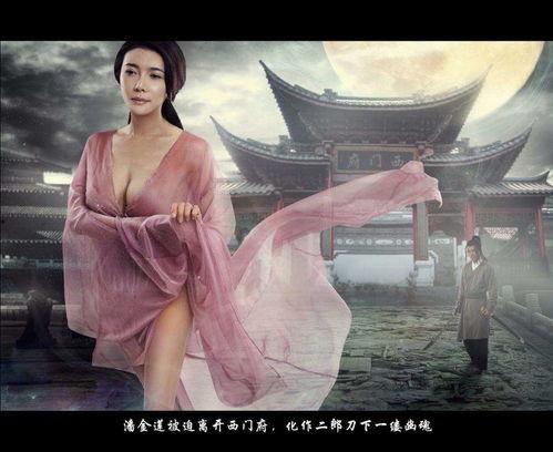 金平梅续集在线观看,传奇再续，情感纠葛升级