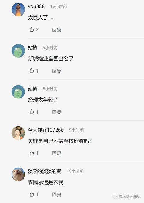 胶州最新爆料新闻视频大全,视频大全揭示热点事件全貌