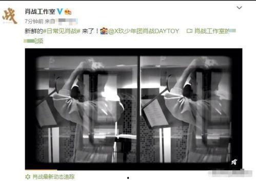 tsc工作室最新爆料,揭秘神秘项目，行业动态再掀波澜