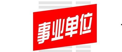 巴东最新爆料,揭秘事件背后惊人真相