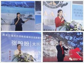 揭阳市媒体新闻爆料有哪些,聚焦民生热点，揭示社会现象