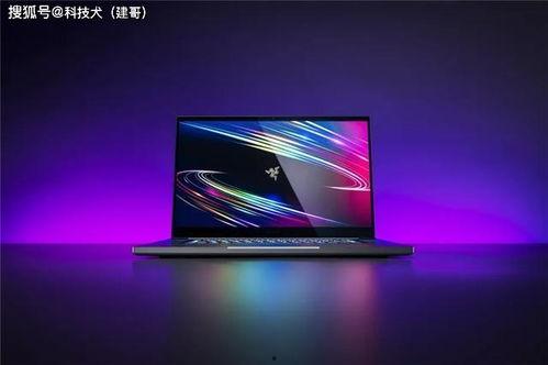 雷蛇发布会最新爆料,发布会最新爆料抢先看