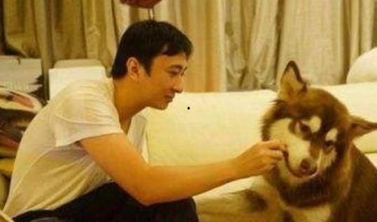 娱乐圈狗子爆料是真的吗,真相还是谣言？