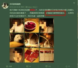 家暴视频爆料者是谁,勇敢揭露黑暗背后的真相