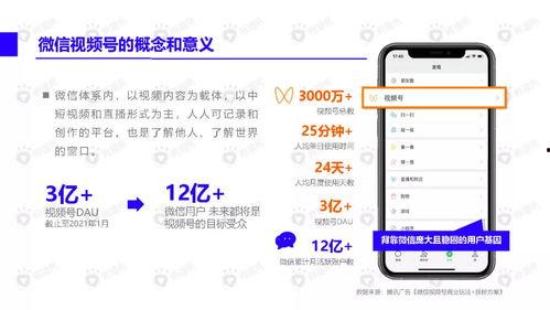 神仙老师吃瓜视频下载免费,揭秘娱乐圈幕后故事，免费下载大揭秘！