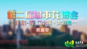 云阳新闻爆料事件,揭秘背后真相与网络舆论风暴