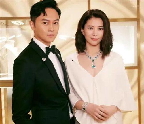 新瓜最新爆料娱乐圈小说,新瓜爆料，揭秘明星背后的秘密