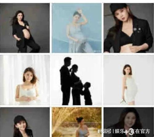 新瓜最新爆料娱乐圈小说,新瓜爆料，揭秘明星背后的秘密
