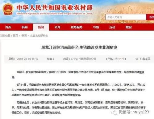 郑州爆料最新消息新闻,突发事件引发社会关注