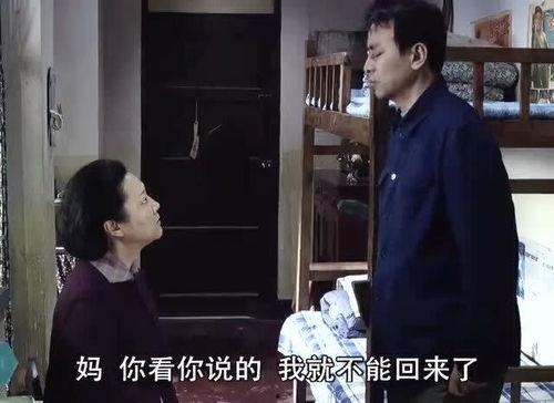 东方农嫂爆料视频,农业真相大曝光
