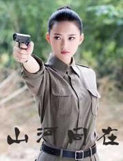 山河同在电视剧在线观看,穿越历史长河，共赏家国情怀