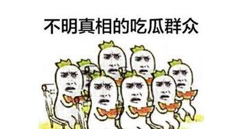 都是吃瓜惹的祸免费阅读,一场意外的网络狂欢