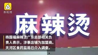 最新杨国福爆料新闻视频,揭秘餐饮行业内幕