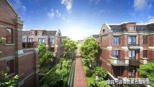 上海匿名新闻爆料事件最新,揭秘背后真相与网络舆论风暴