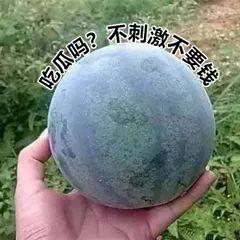 年轻人吃瓜的网红,揭秘年轻人社交圈的热门话题