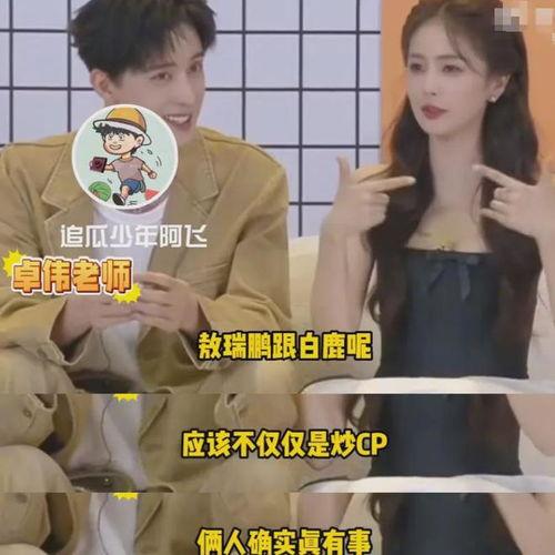 关于白鹿狗仔爆料的视频,娱乐圈幕后真相大曝光