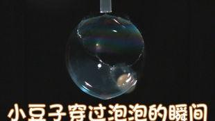西瓜视频大铁锤爆料,揭秘娱乐圈幕后真相
