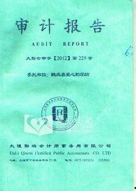 审计报告在线观看,揭秘企业财务真实面貌
